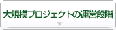 大規模プロジェクトの運営段階